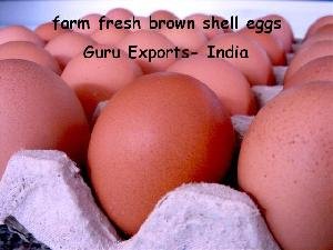 SUPPLY OF FRESH BROWN SHELL EGGS