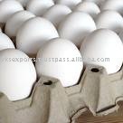  laying  chicken eggs