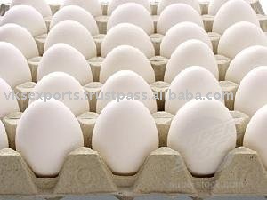 colored chicken eggs