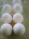 White Chicken Eggs