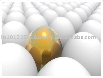 Egg Supplier