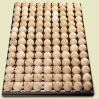 Quality duck  hatching eggs