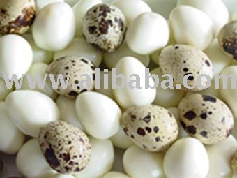 Quail Eggs, brown eggs