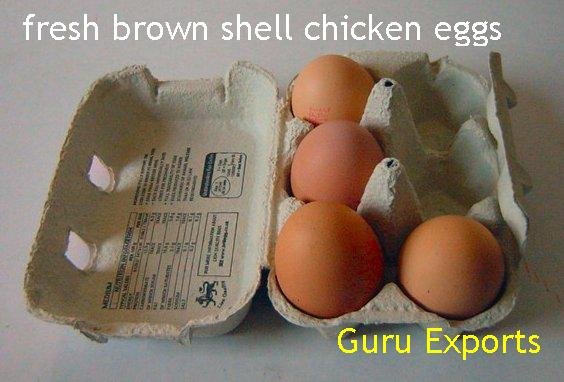 POULTRY FARM CHICKEN EGGS OF TAMIL NADU,India GuRu price supplier - 21food