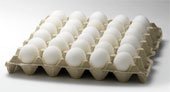 EXPORTERS   SUPPLIER OF INDIAN FRESH CHICKEN EGGS