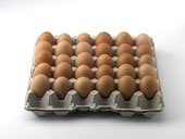 FRESH FARM CHICKEN EGG EXPORT   SUPPLY TAMIL NADU INDIA