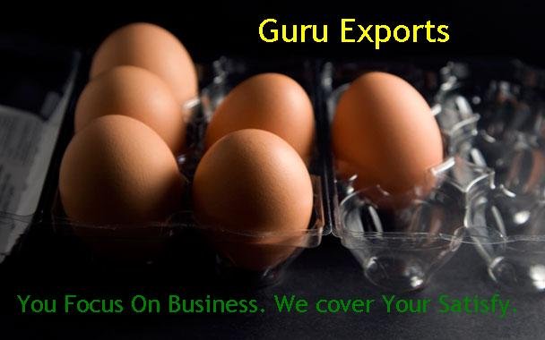 CHICKEN FARM FRESH INDIAN EGGS