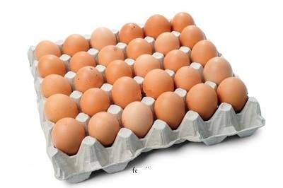 POULTRY FRESH EGGS