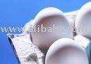 white egg exporters
