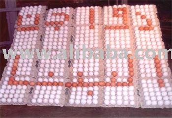 Table Eggs
