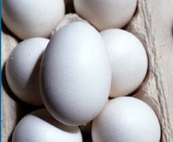 White  layer   egg s