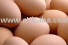 BROWN EGGS