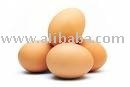 CHICKEN  EGGS