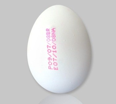 Fresh White Table Eggs