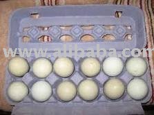 Duck eggs