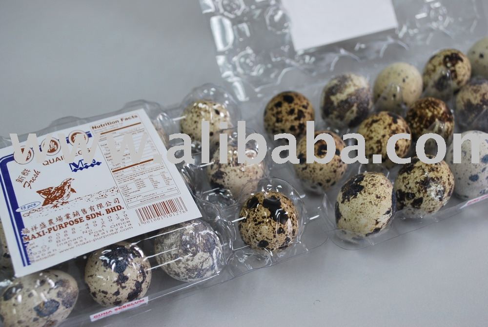 Fresh Quail Eggs