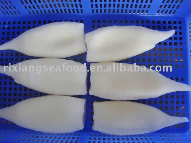 Frozen Iqf illex squid tube U5 U7 U10