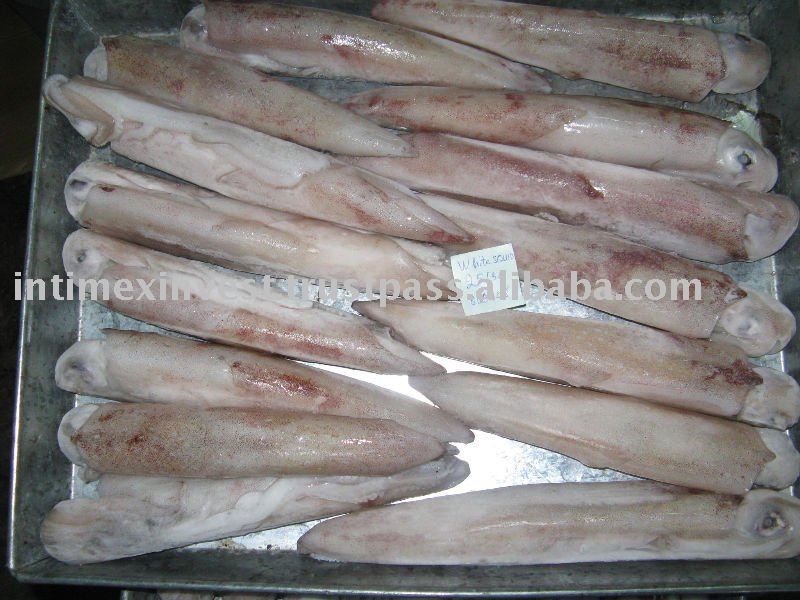 FROZEN WHOLE ROUND WHITE SQUID