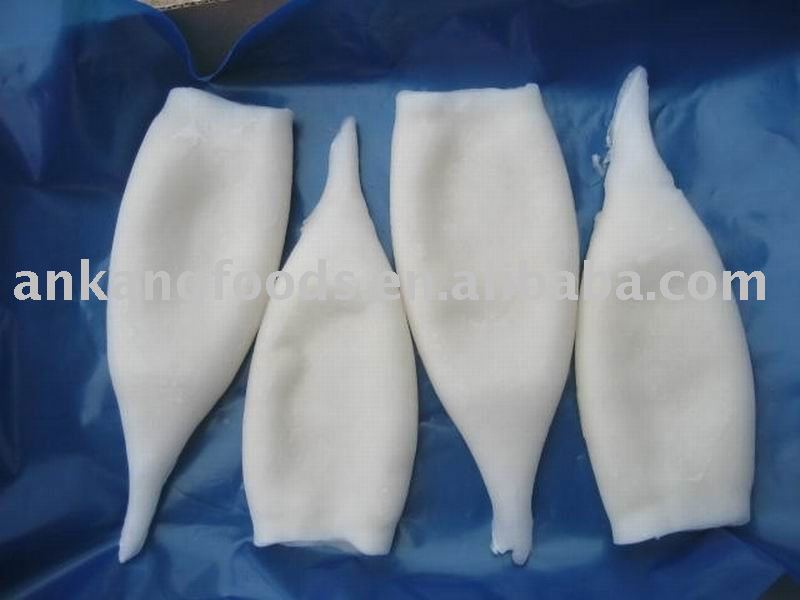 (U/10) ILLEX ARGENTINUS squid tube
