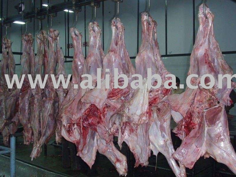 Grade A Fresh processed halal goat meat halal lamb meat