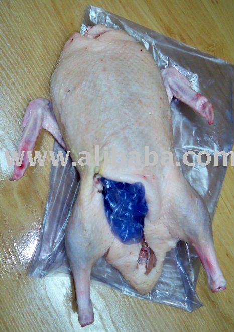 FROZEN  WHOLE  PEKIN  DUCK 