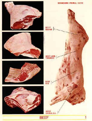 BEEF FULL CARCASS