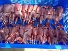  Quail s  meat 