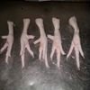 CHICKEN FEET, CHICKEN PAW, CHICKEN PARTS ,Best Quality Frozen Chicken Feet Large Size