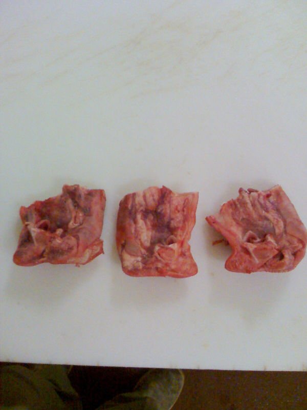 HALF PORK SNOUTH BONE IN