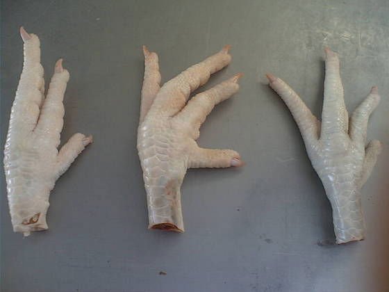 Grade A Frozen Processed Chicken Paw