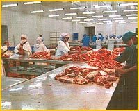 Frozen Meat For Sale