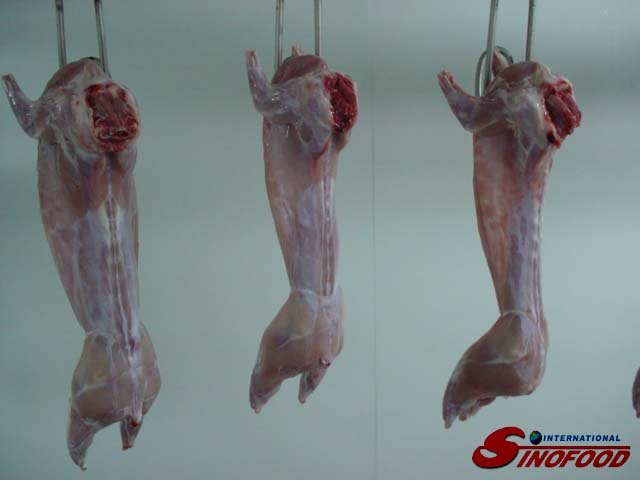 Frozen rabbit carcass