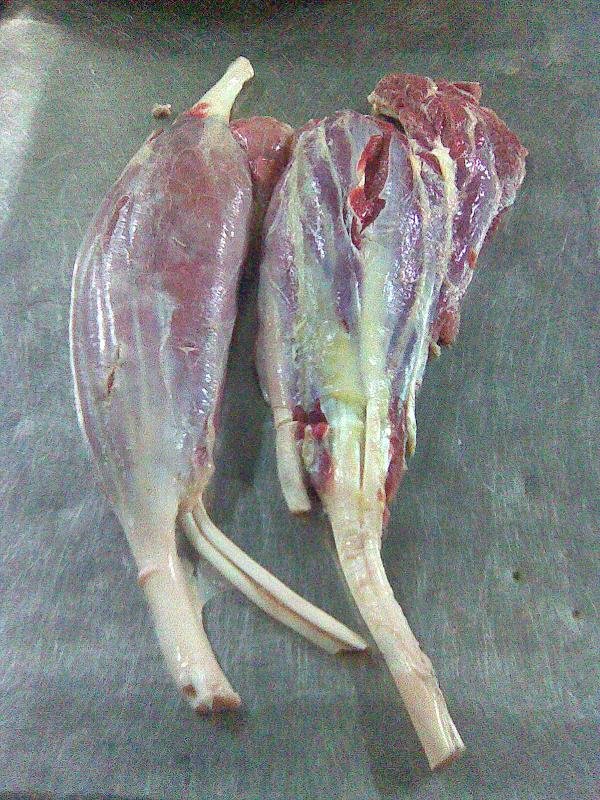 shin n shank