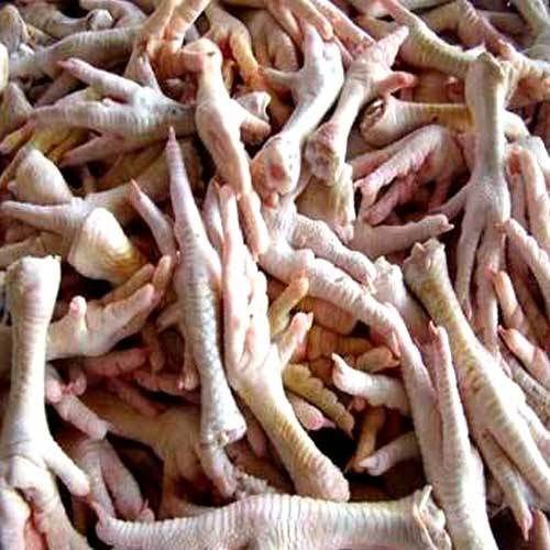 Frozen Chicken Feet