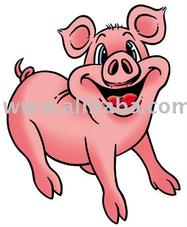 pork-liver offals lung stomach
