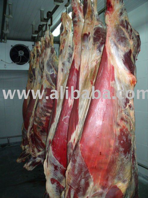 Quarter of beef from young bull - HALAL
