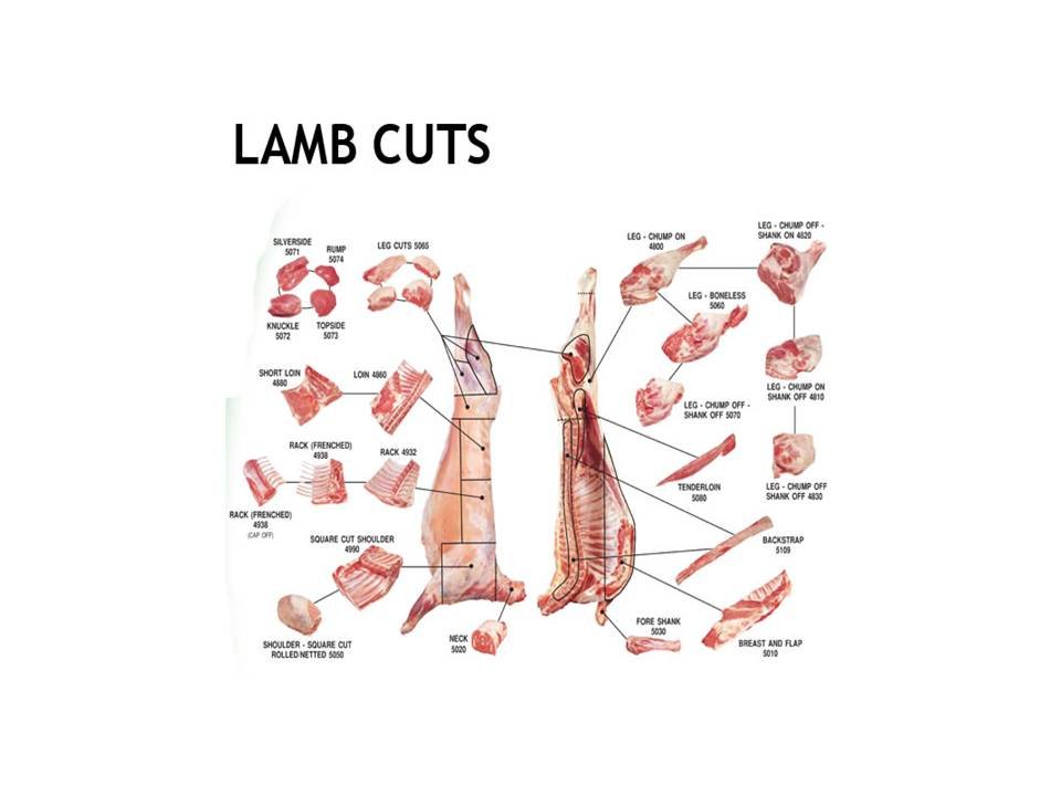 Lamb Cut