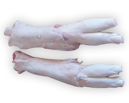Tendon