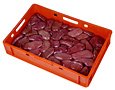 KIDNEYS