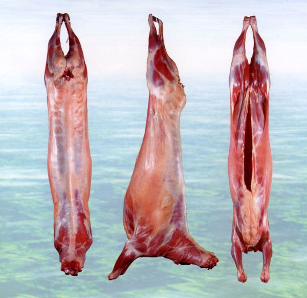 Frozen Lamb Carcass Bone-In