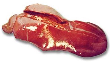 LIVER