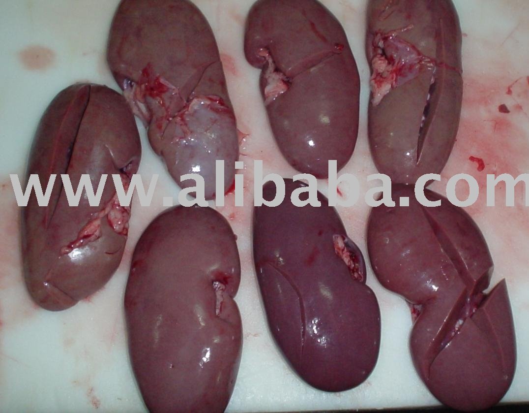 Kidneys