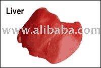 Liver  of cattle