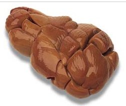 KIDNEY