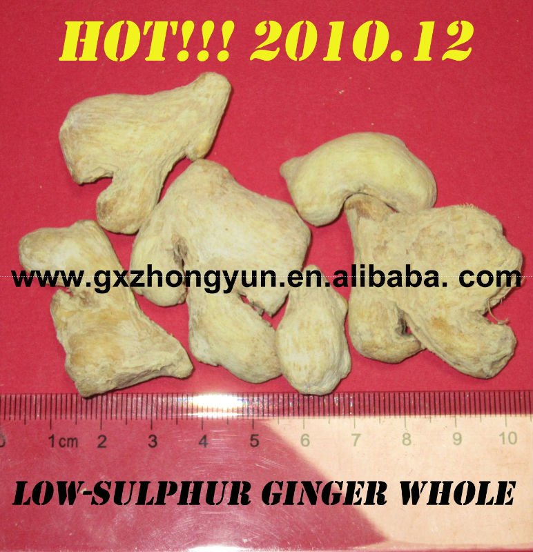 hot air dried dehydrated ginger whole