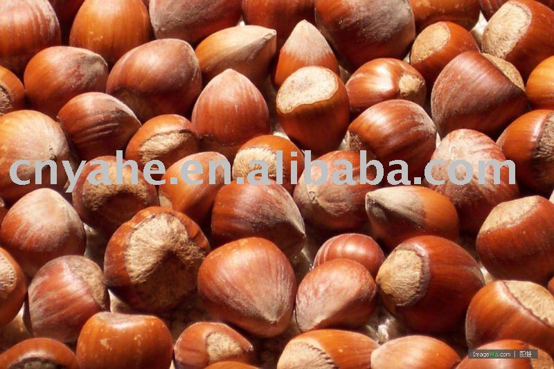 Hot  Hazelnut   flavour 