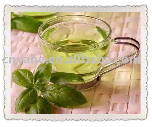 Green Tea Flavoured in dairy products