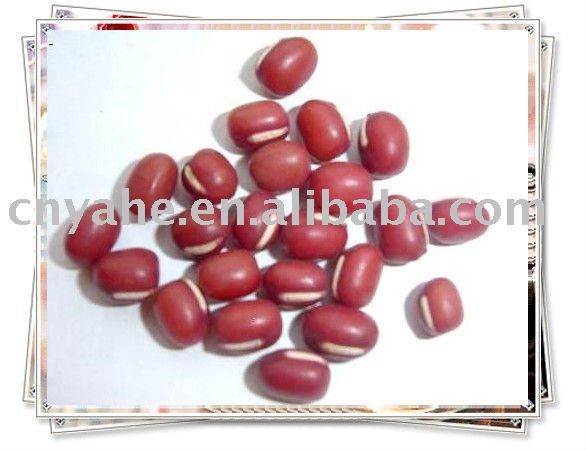  Natural   Red   Bean  Flavour fot dairy products