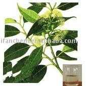 EUCALYPTUS OIL