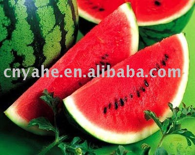 Natural  Watermelon   Flavour 